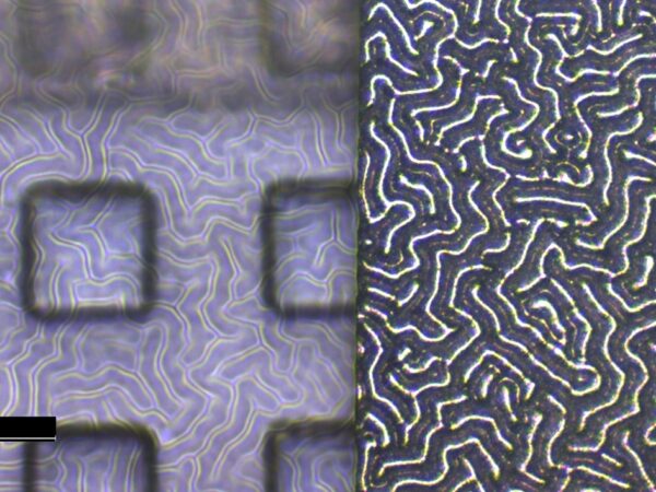 Finished device top metal Crop