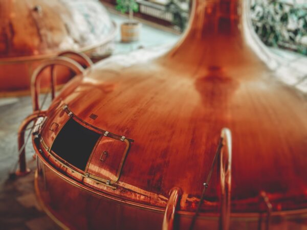 Martin knize D Qp Ht E5 WY U unsplash