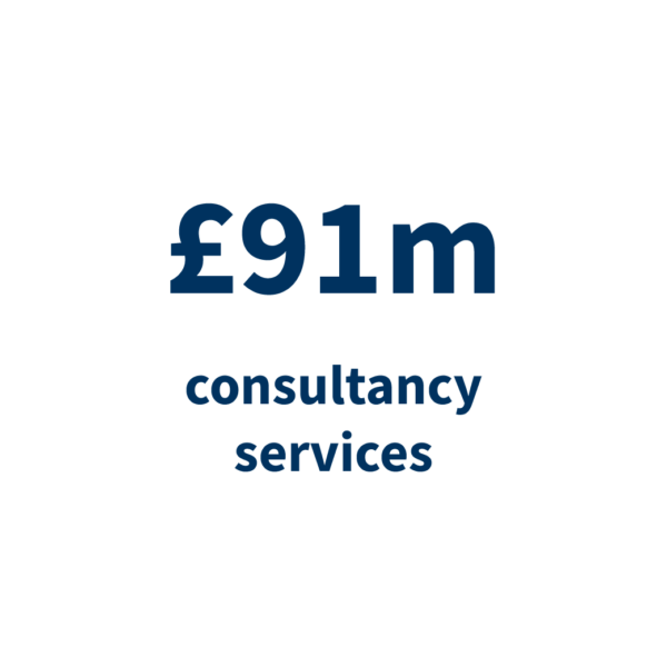 23 INT11 ESI Infographic consultancy services