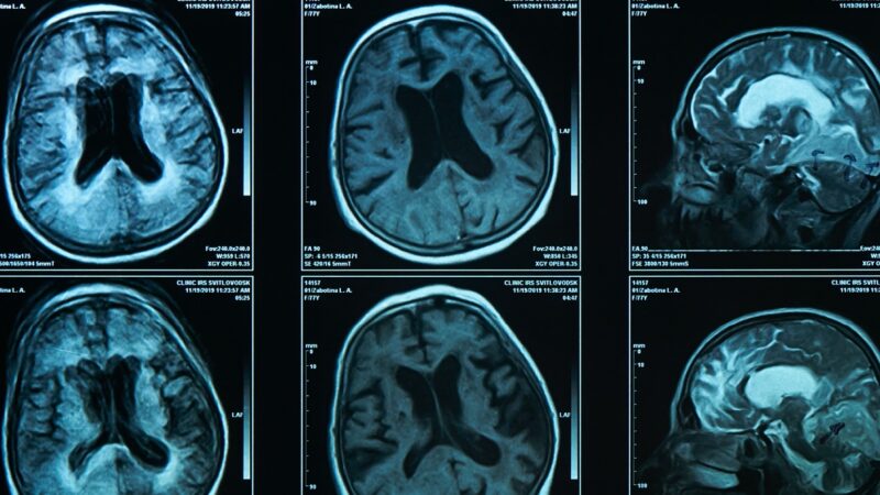 Adobe Stock 503789932 Александр Марченко Header