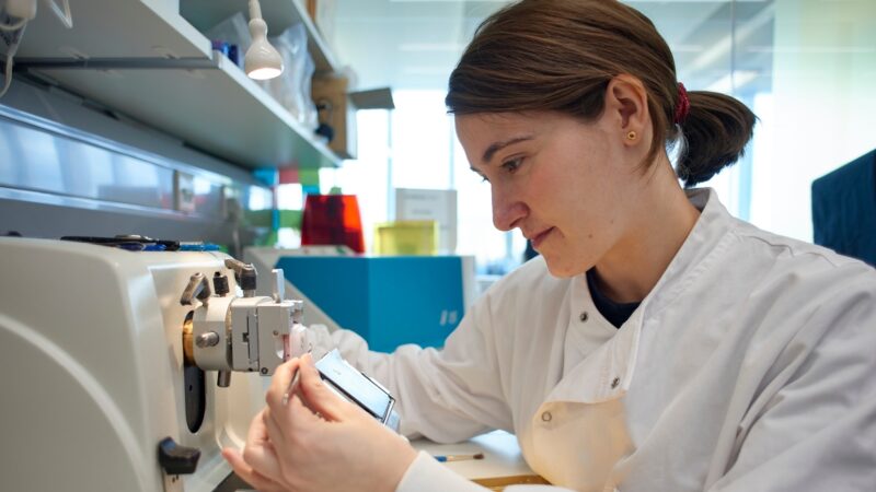 Dr Sofia Ferreira Gonzalez 0056 Header