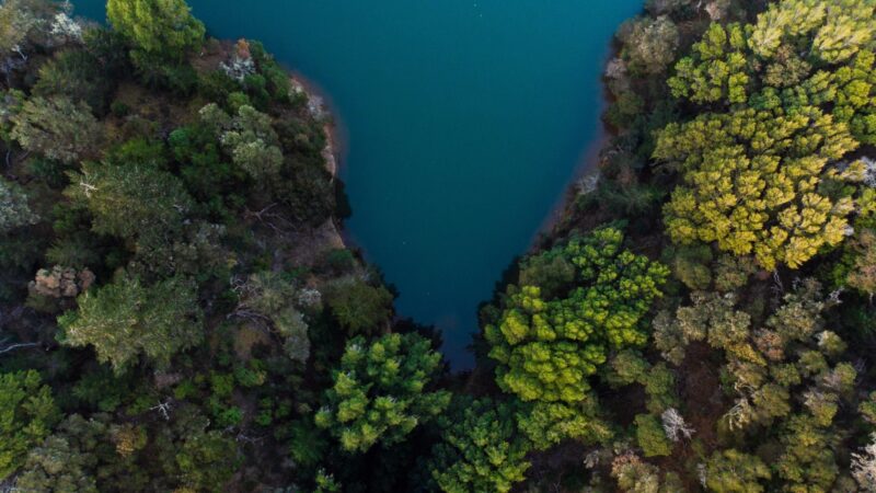 Ethan dow UE6k T Ii Umt I unsplash