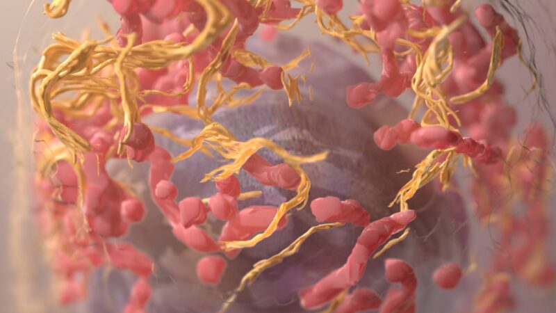 National cancer institute p1zy6iz FI0 M unsplash