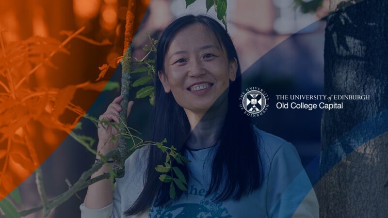 OCC 01 Launch header